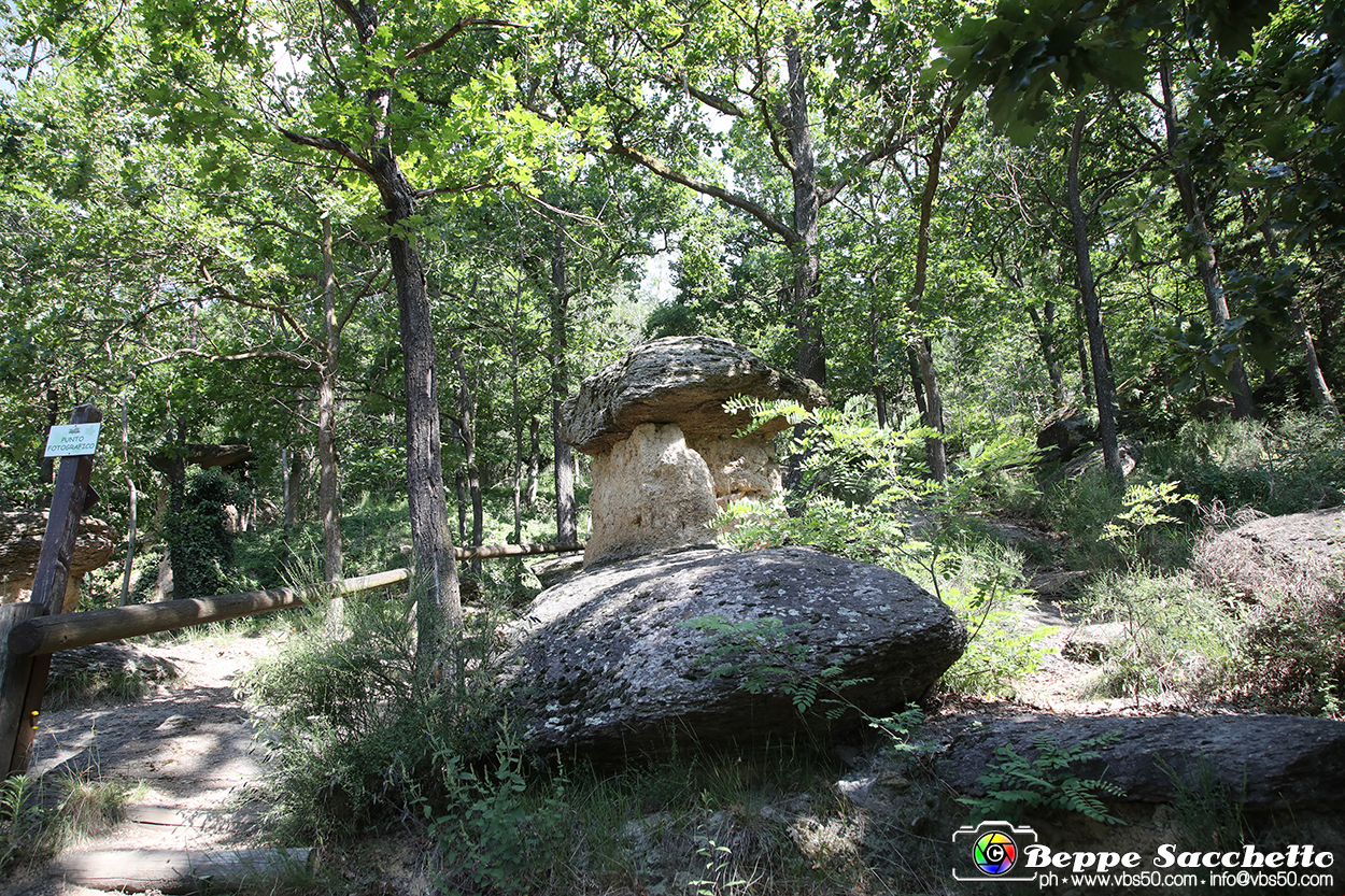 VBS_8990 - I Ciciu del Villar. Villar San Costanzo. Val Maira (Cuneo).jpg